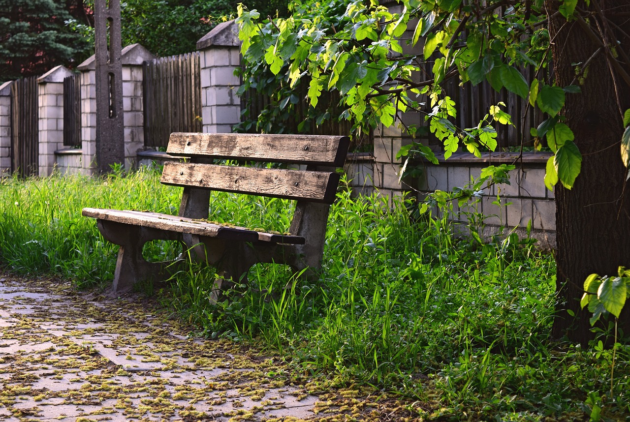 bench, wooden, bus stop-932343.jpg